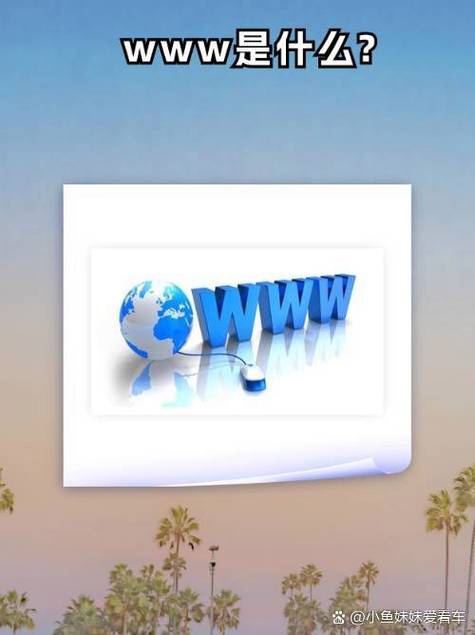 WWW.SZWB.COM好用吗？实测五大功能揭秘真实体验