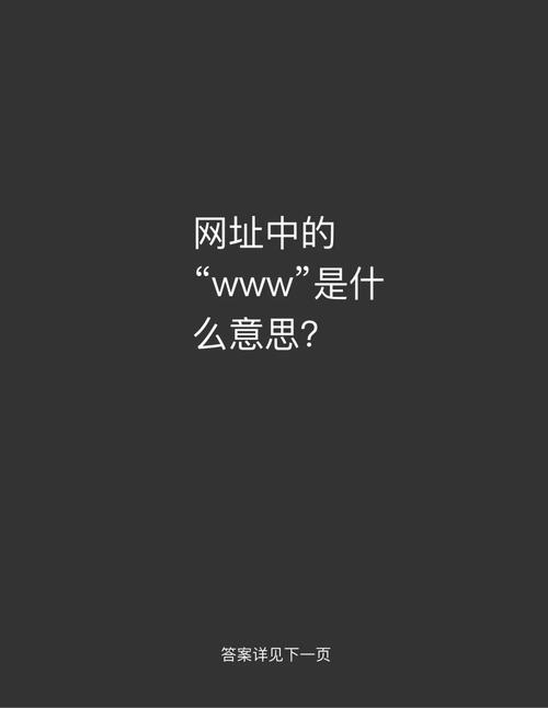 WWW.SZWB.COM好用吗？实测五大功能揭秘真实体验