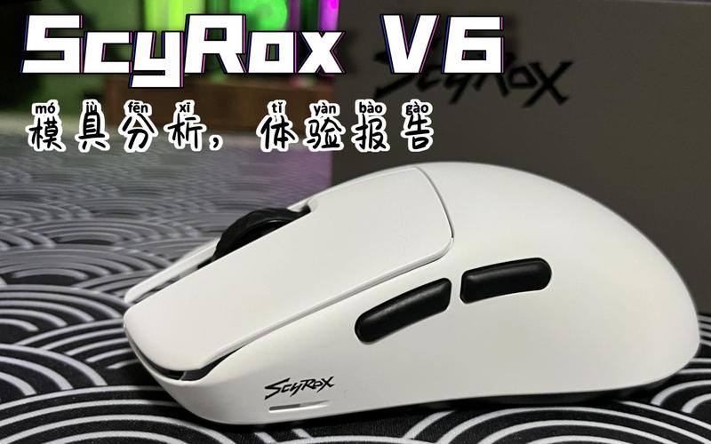 passolo v6.0.04怎么用？5步教程新手快速入门指南！