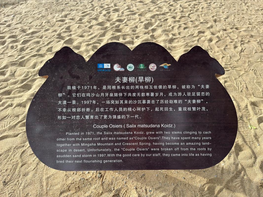 鸣沙山名字由来真相大公开(探秘沙声起因传说)