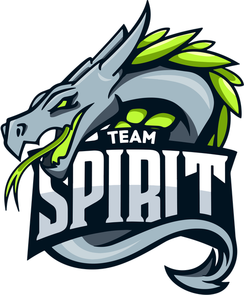 TEAM SPIRIT战队有什么好处？(揭示团队协作的核心优势)