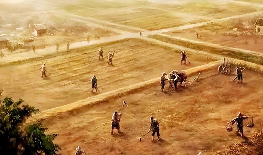 唐代长安大街上种植的树为什么重要？(环保理念的古老智慧)