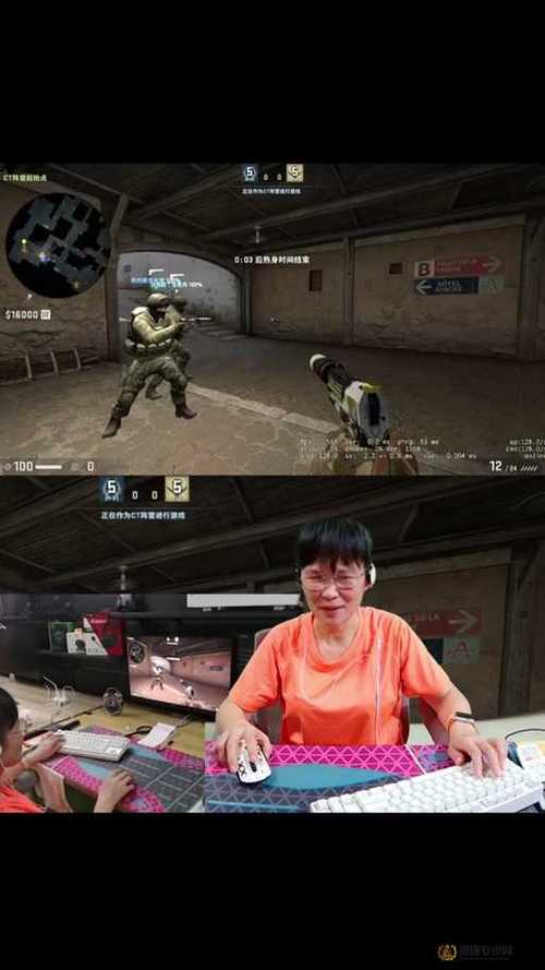 暴躁老阿姨csgo经典片段哪个最逗？对比几个经典片段轻松选！