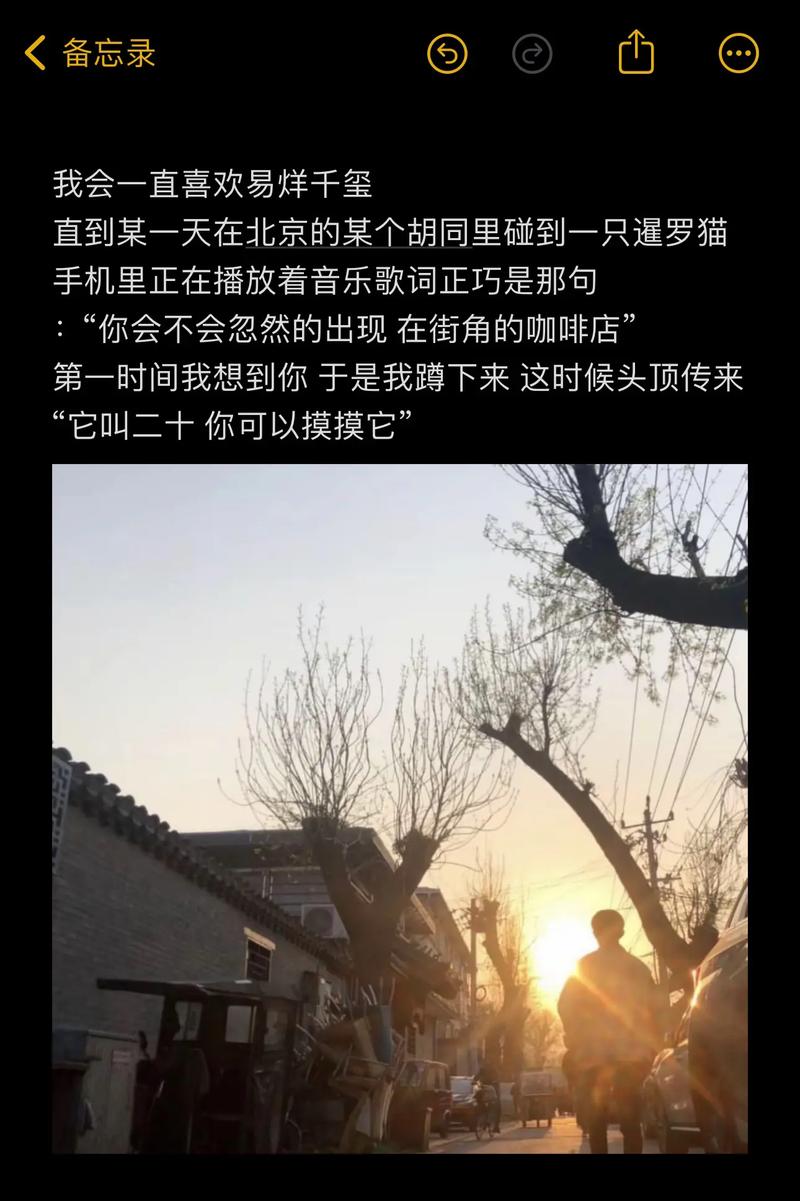 XIQIANYANGYICOM效率提升？实用技巧高效应用