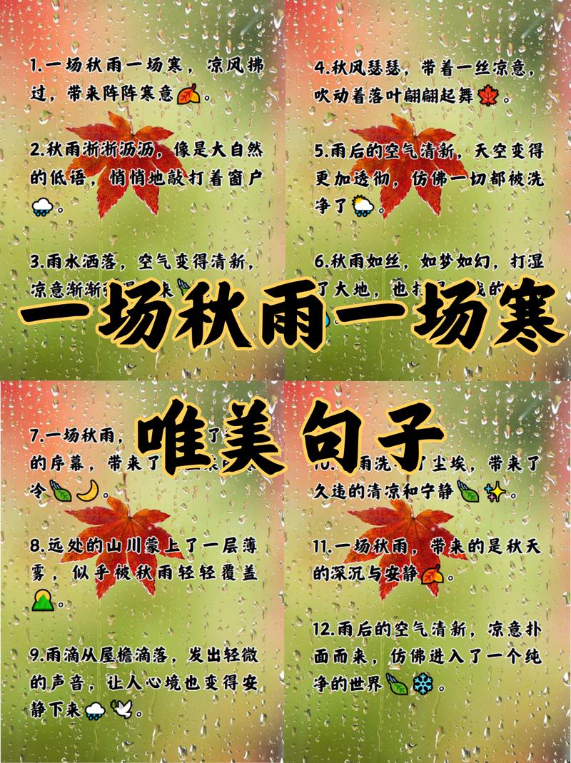 俗话说一场秋雨一场寒蚂蚁庄园活动有哪些？精选三招让你乐在其中！