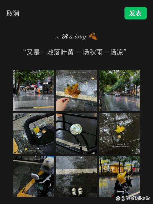 俗话说一场秋雨一场寒蚂蚁庄园活动有哪些？精选三招让你乐在其中！
