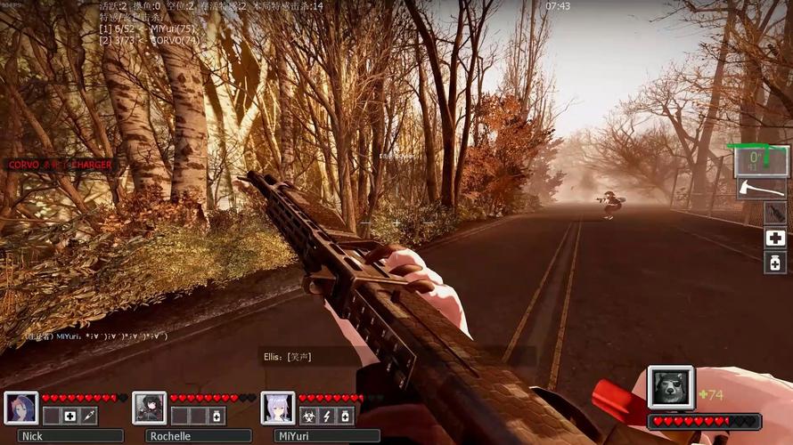 left4dead2.exe运行卡顿(优化设置提升游戏性能)