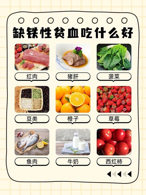 人体缺铁时吃以下哪种食物？专家推荐这4类补铁快！
