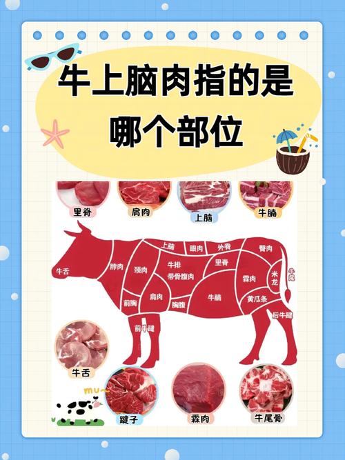 蚂蚁庄园教你涮牛上脑，5分钟学会火锅秘诀