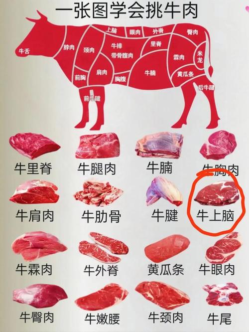 蚂蚁庄园教你涮牛上脑，5分钟学会火锅秘诀