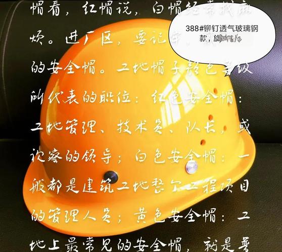 为什么说安全帽学的是啄木鸟？动物仿生学神奇应用揭秘
