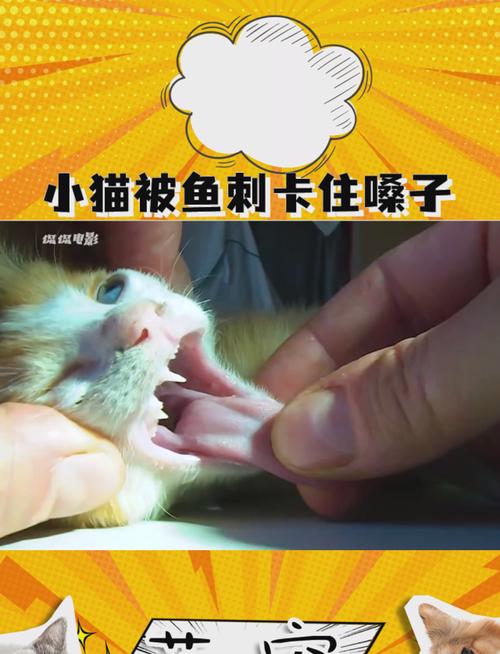 猫咪爱吃鱼会被鱼刺卡到吗？养猫必看安全喂鱼3大秘诀！