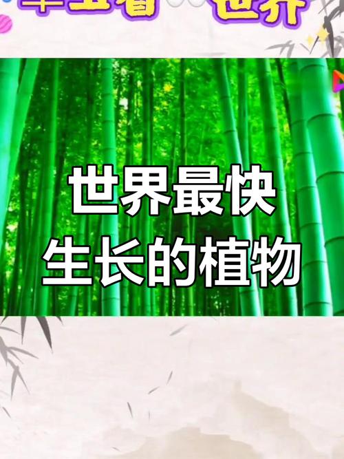 世界上长得最快的植物是什么？(揭秘生长速度冠军)
