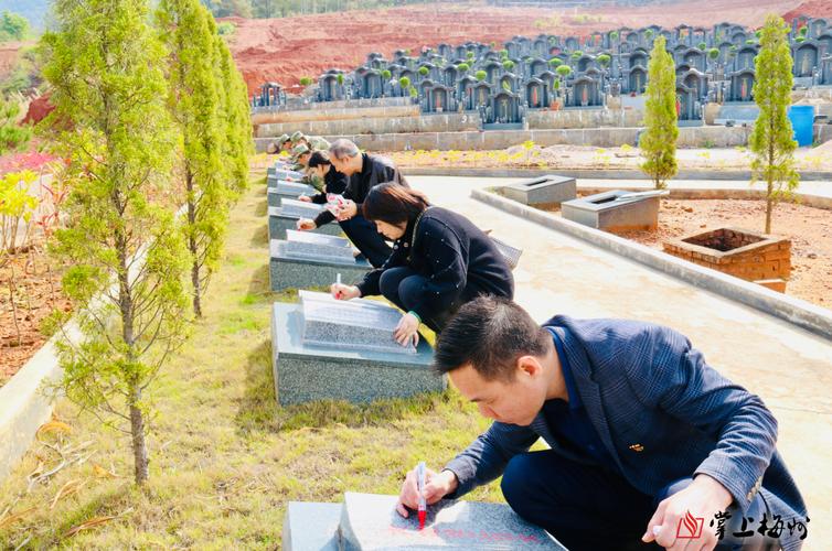 2020清明祭英烈如何网上祭扫？电脑登录完整教学