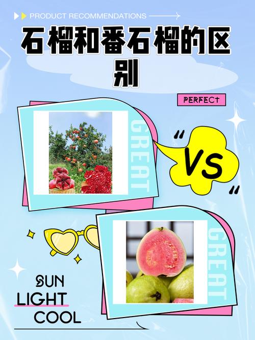 番石榴和石榴是一个品种吗？事实对比秒变明白！