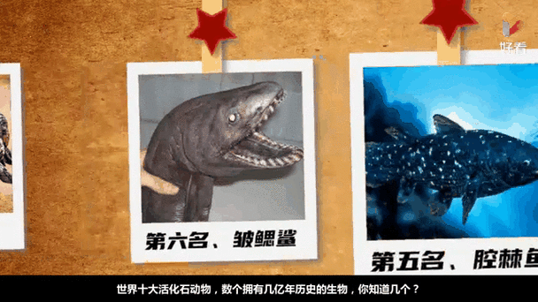 探索有活化石之称的动物是什么？认识动物界的超长待机者