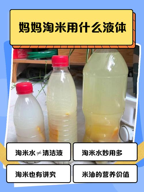 用什么水淘米蚂蚁庄园答案靠谱攻略？实测经验秒学正确方法！