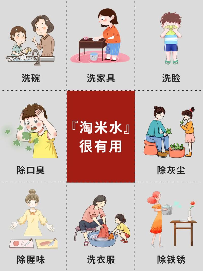 用什么水淘米蚂蚁庄园答案靠谱攻略？实测经验秒学正确方法！