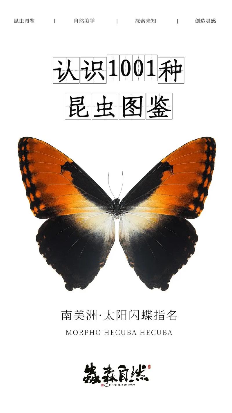 人们通常会借助哪种昆虫用途广？实用虫类大揭秘！