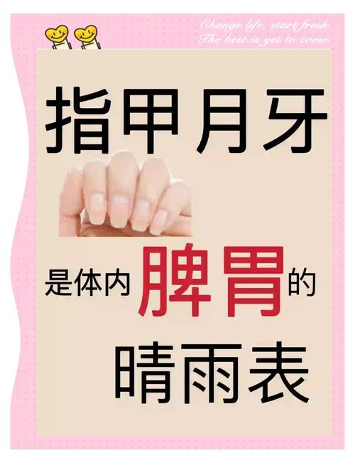 指甲月牙少表示健康信号吗？蚂蚁庄园医生建议这3招调理！