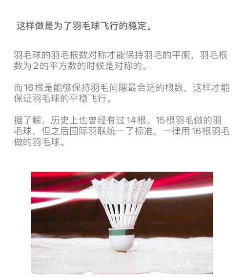 一个羽毛球上有多少根羽毛(这个冷门知识很多人都猜错)