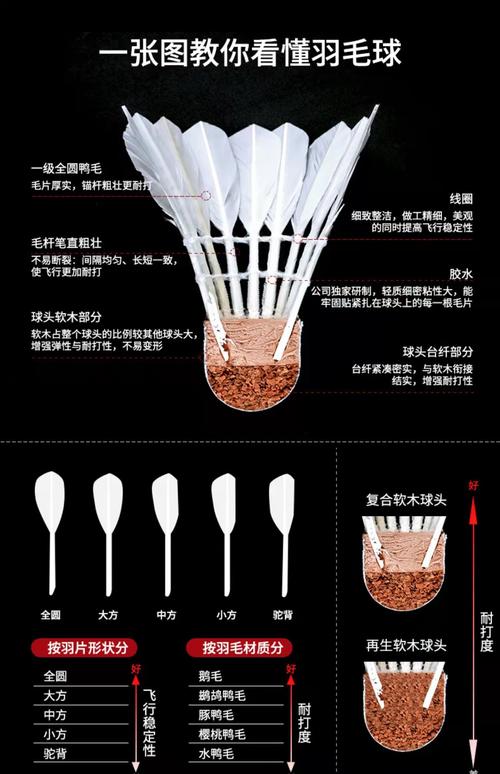 一个羽毛球上有多少根羽毛(这个冷门知识很多人都猜错)