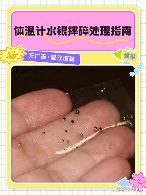 蚂蚁出现水银体温计摔碎怎么办？实用3步处理法轻松搞定