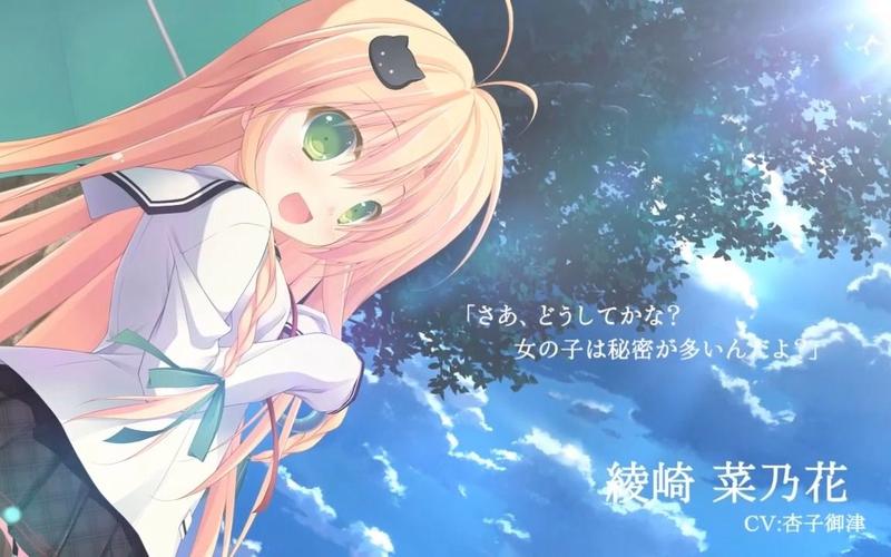 晴のちきっと菜の花びより能否看懂？零基础新手必知3件事！