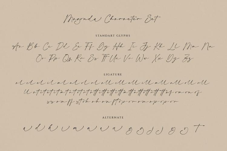 scriptdragon哪个版本好？新手老手这样选准没错