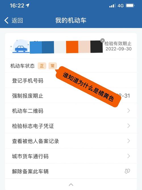 123123违章车辆查询需要准备啥？(备好这2样东西不耽误)