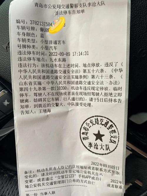 123123违章车辆查询需要准备啥？(备好这2样东西不耽误)