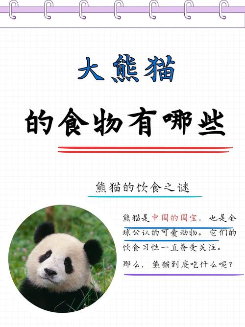 揭秘大熊猫食物：最爱竹子算草还是算树呢