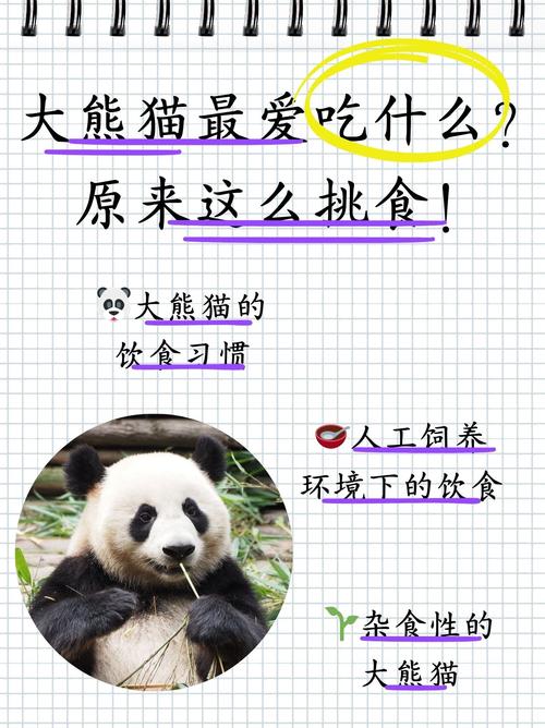 揭秘大熊猫食物：最爱竹子算草还是算树呢