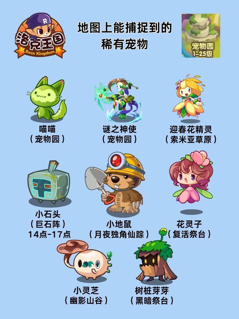 寻找洛克王国宠物训练室在哪里？实用技巧大公开！