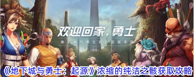 浓缩的纯洁之骸有什么用？对比用途选最佳方案！
