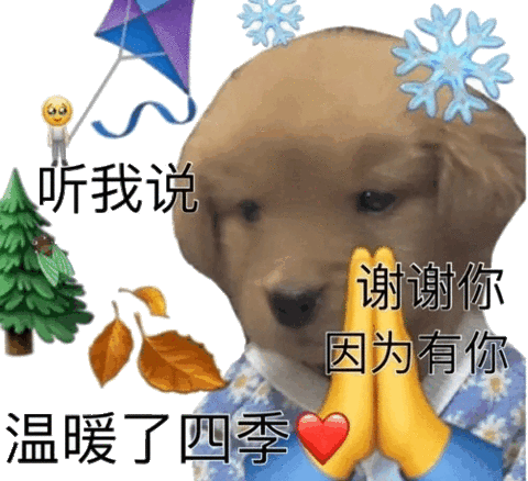 谢谢你因为有你温暖了四季在社交网络怎么流行？热门玩法快速掌握！