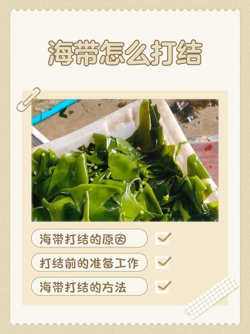 人们吃的海带打结怎么办？快速处理秘诀大公开！