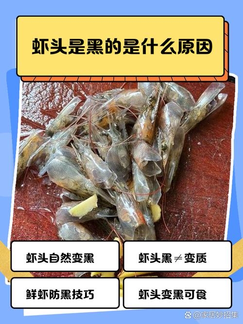 虾头变黑是重金属超标吗蚂蚁庄园常见误区(真相一次说清楚)