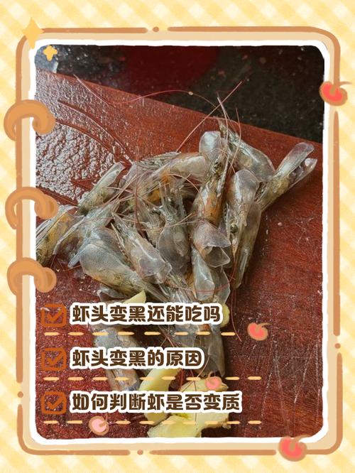 虾头变黑是重金属超标吗蚂蚁庄园常见误区(真相一次说清楚)