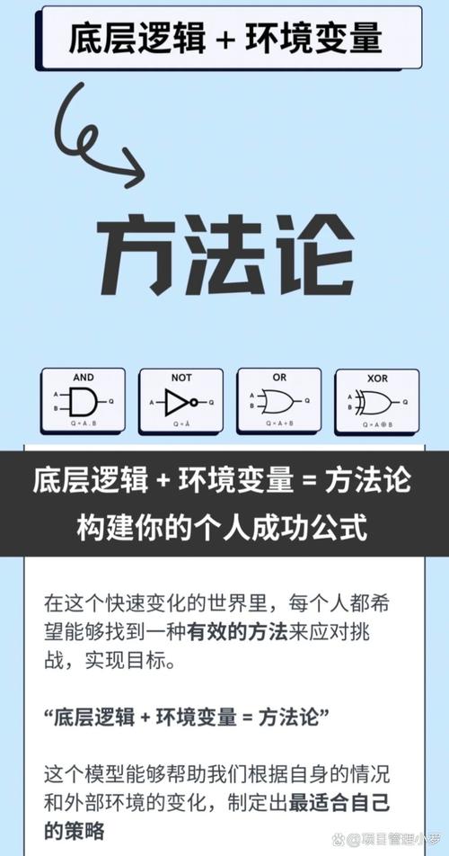 如何高效完成无限空间2（实用攻略秘籍推荐）