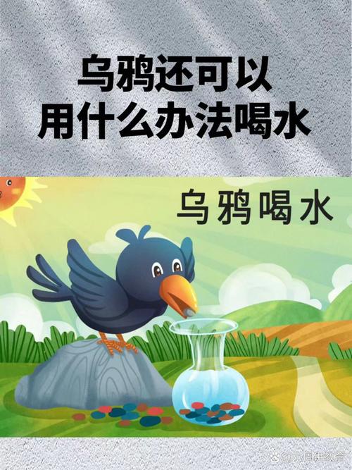 如何利用乌鸦智慧？简单实用技巧教给你！