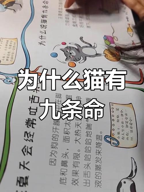 揭晓猫有九条命传说是真的吗？科学答案在此