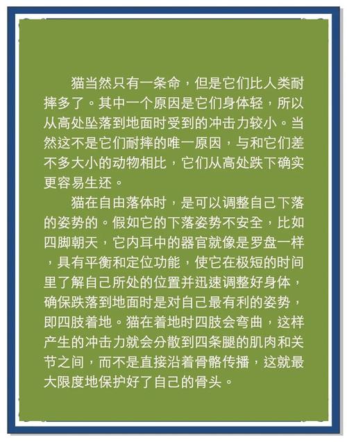 揭晓猫有九条命传说是真的吗？科学答案在此