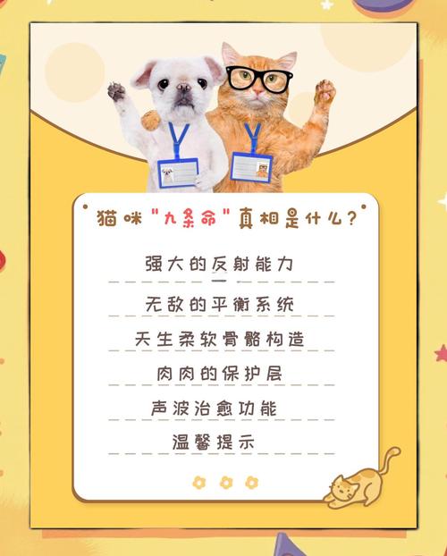 揭晓猫有九条命传说是真的吗？科学答案在此