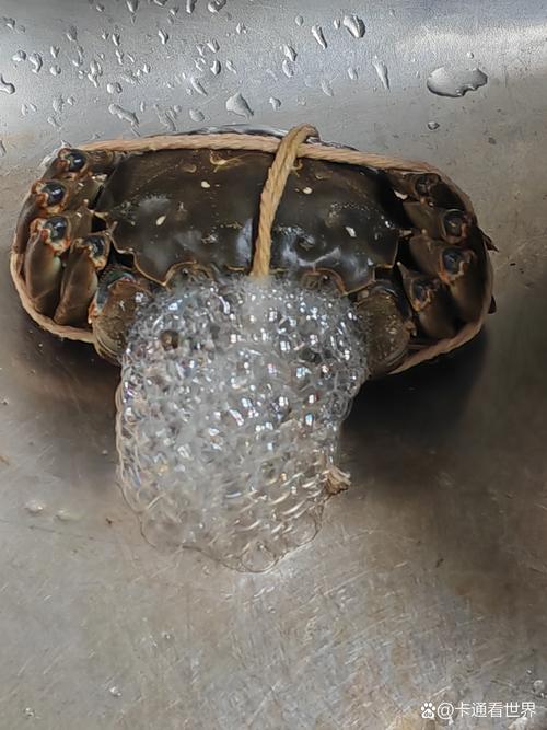 螃蟹为什么总喜欢吐泡泡？专家教你轻松解决！