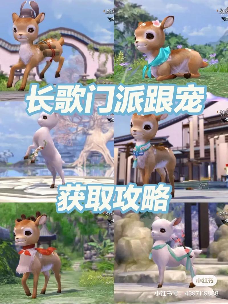 剑网三宠物作用大吗？看完解析秒懂玩法优势！