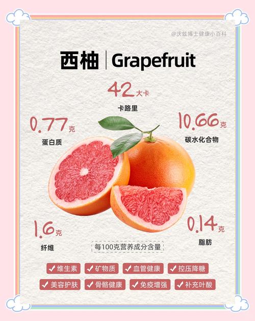 爱西柚客户端好用吗？(真实评价对比优缺点)