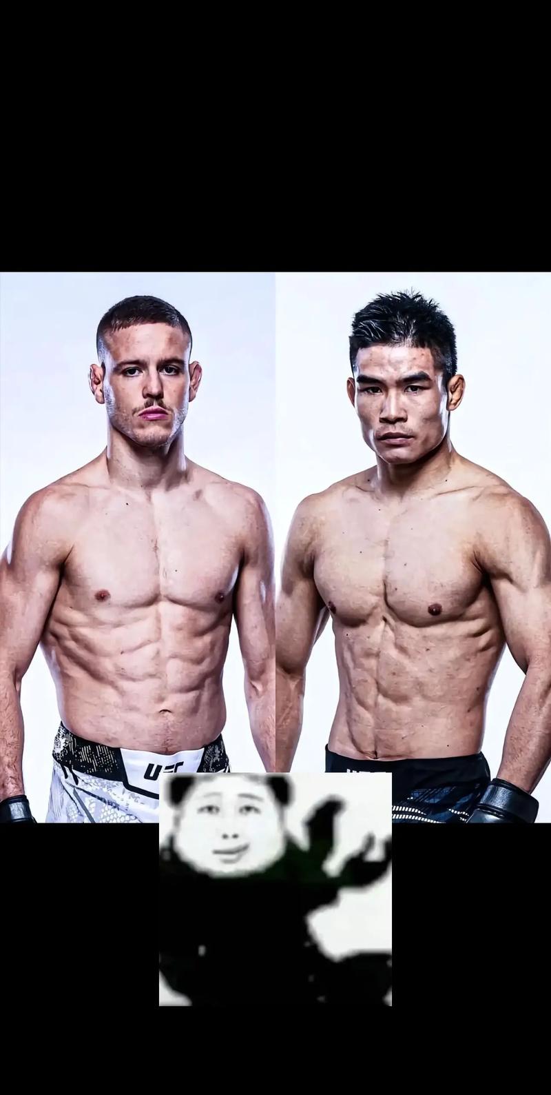 ufc终极格斗冠军赛2010哪个角色强？行家推荐这3个无敌选手