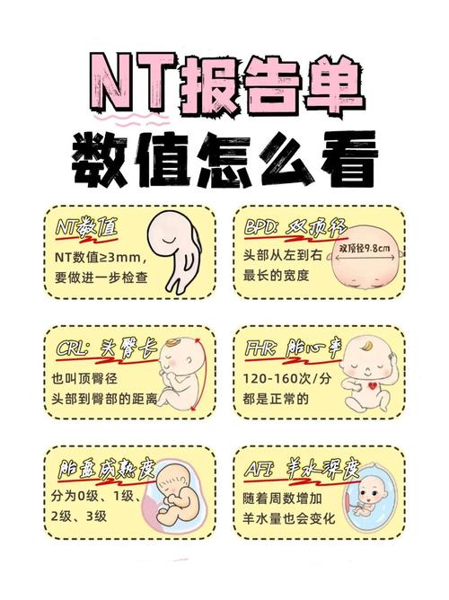 ntlea常见问题？快速解决步骤一网打尽