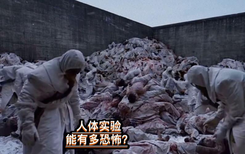 人体造血工厂的秘密？五个方法提升你的血液健康